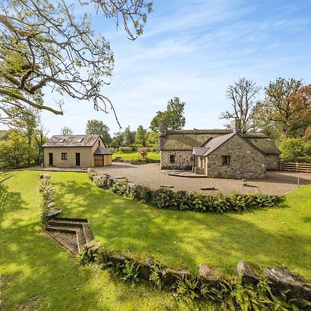 Villa Penpompren Blaenpenal Esterno foto
